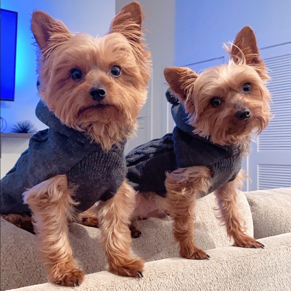 Meet your Posher, Briona - Picture 1 of 1